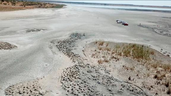 Thousands of flamingo chicks rescued from dried-out South African dam | CNN