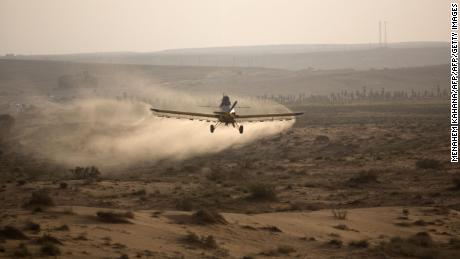 A light plane sprays pesticides on a hill in the Negev Desert near the Egyptian border. 