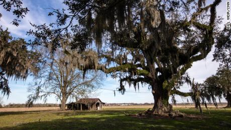 The relocation for Isle de Jean Charles families used to be sugarcane fields.