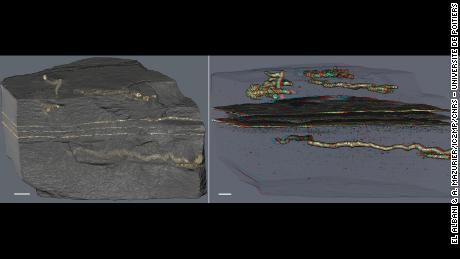 Ancient mucus trail led to oldest evidence of mobility on Earth