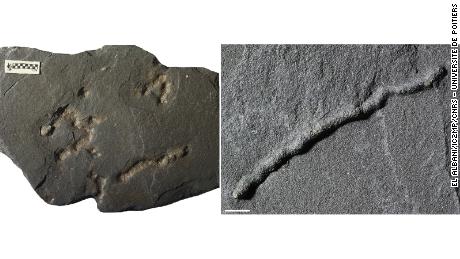 Previously, the oldest traces of this kind dated to approximately 600 million years ago.