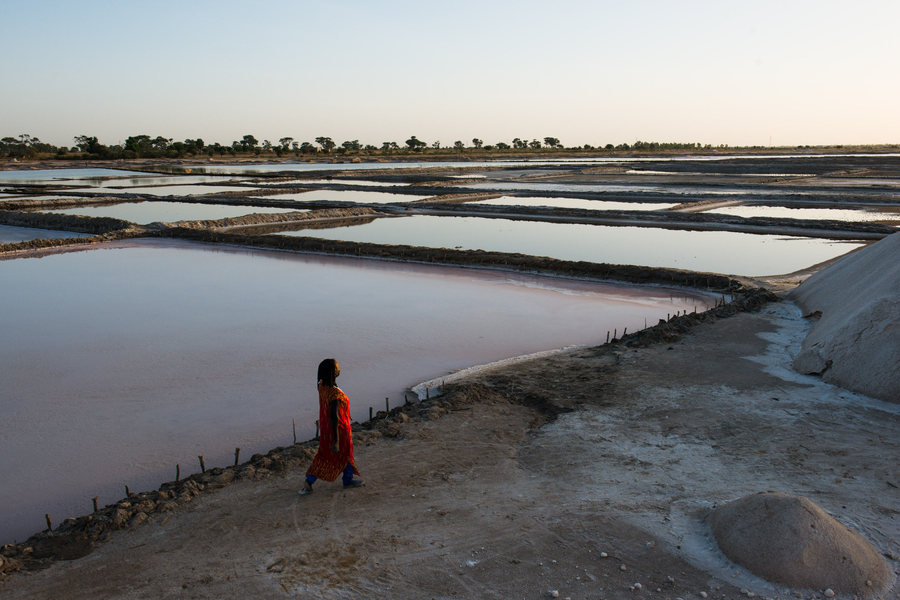 Diouf walks along the edge of irrigation pools at her salt flat in Fatick. In the coming months, the water will evaporate, leaving salt behind.