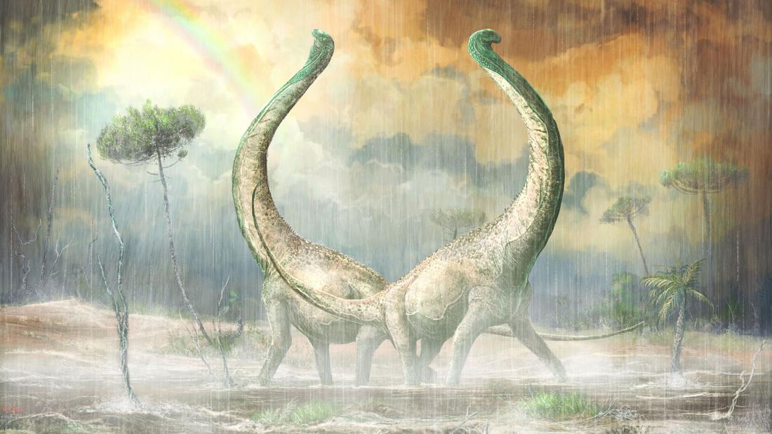 An artist&#39;s illustration of Mnyamawamtuka moyowamkia, a long-necked titanosaur from the middle Cretaceous period recently found in Tanzania. Its tail vertebra has a unique heart shape, which contributed to its name. In Swahili, the name translates to &quot;animal of the Mtuka with a heart-shaped tail.&quot; 