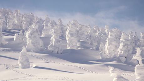 Skiing Through Japans Snow Monsters