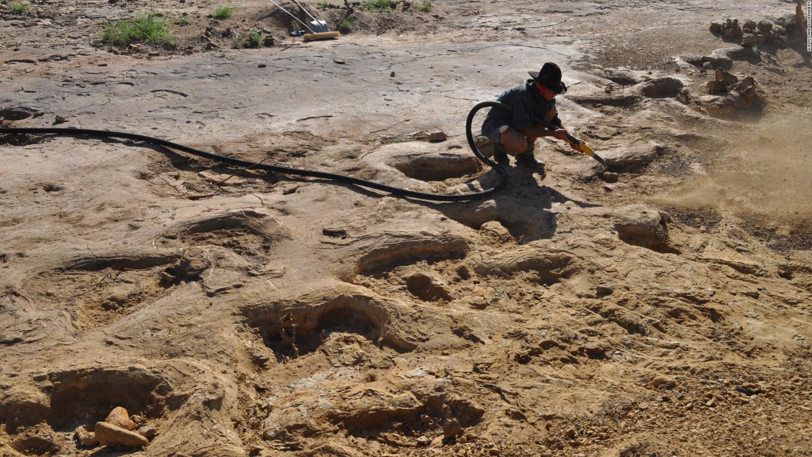 dinosaur footprints near me