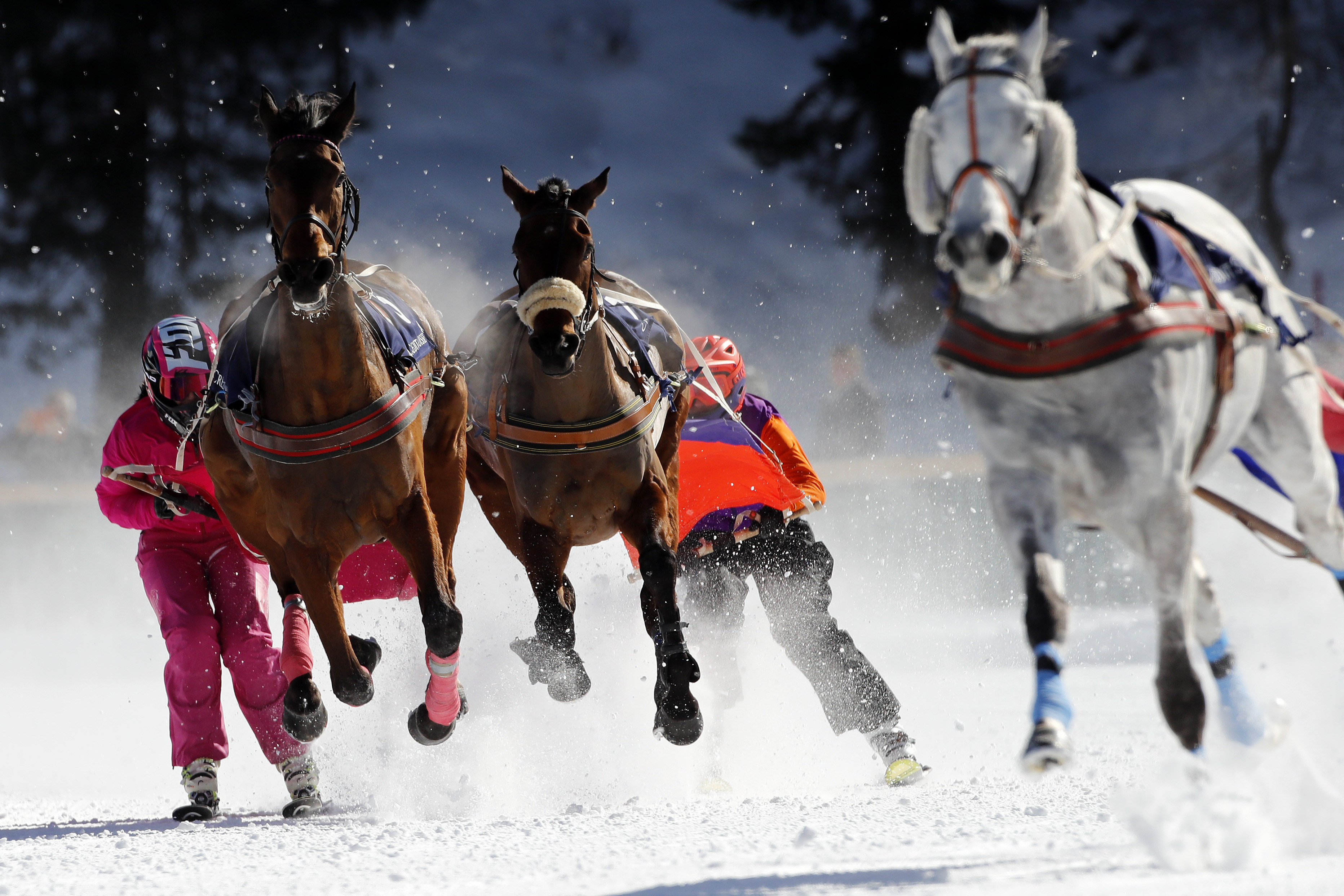 White Turf Horse Racing With A Touch Of Frost Cnn