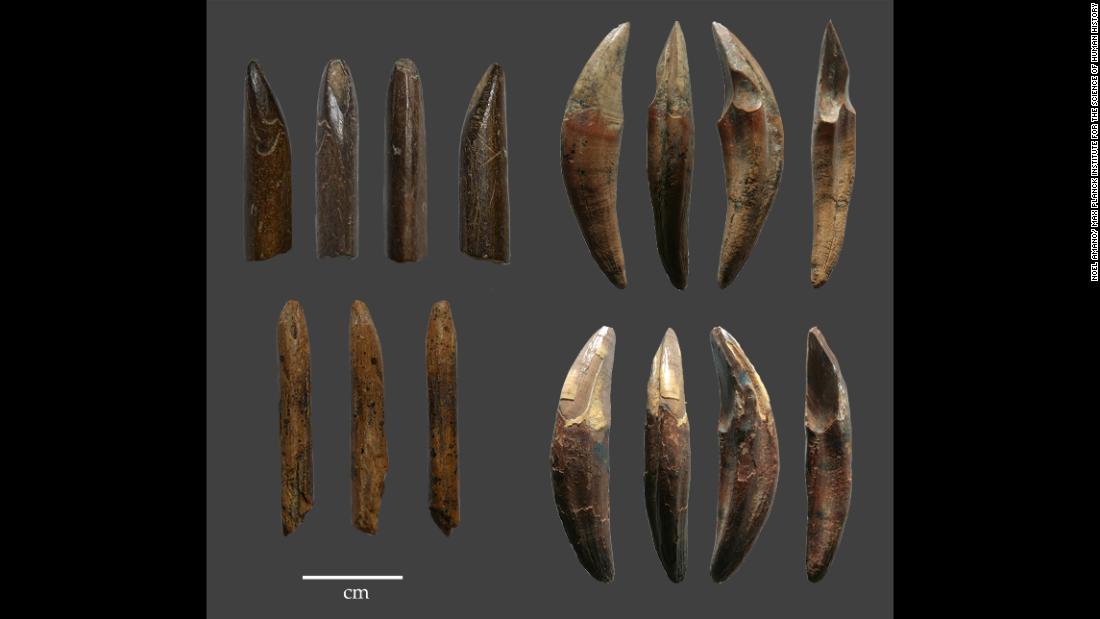 Examples of tools manufactured from monkey bones and teeth recovered from the Late Pleistocene layers of Fa-Hien Lena Cave in Sri Lanka show that early humans used sophisticated techniques to hunt monkeys and squirrels.