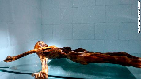 The mummy of Otzi the Iceman lies on display at the Archaeological Museum of Bolzano in Italy. 