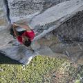 free solo