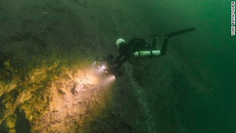 Fossils were found embedded in a cenote wall.