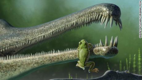 A concept rendering of a Chinle frog inside the jaw of a phitosaur. 