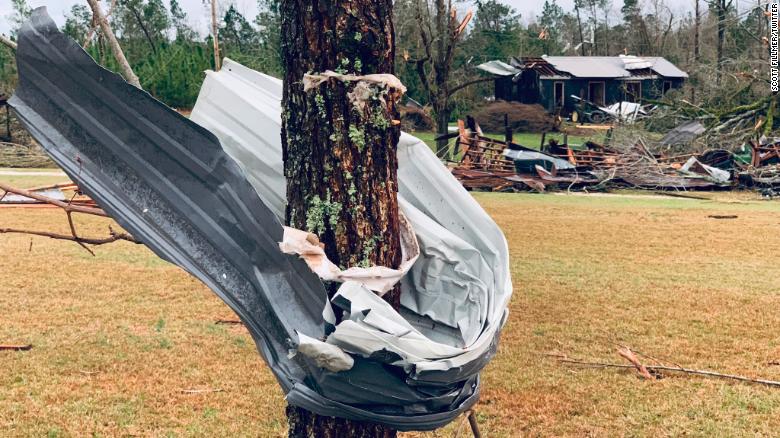 Metal wrapped around a tree in Beauregard.