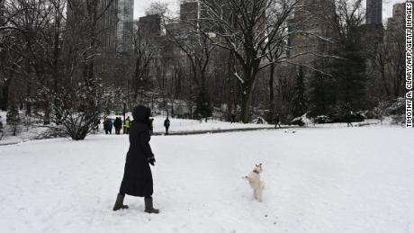 A woman plays with her dog in Central Park on Monday after 5 inches of snow fell.