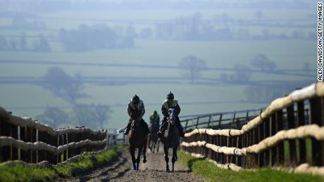 Horses from Paul Nicholls' yard exercise on the gallops at Ditcheat.