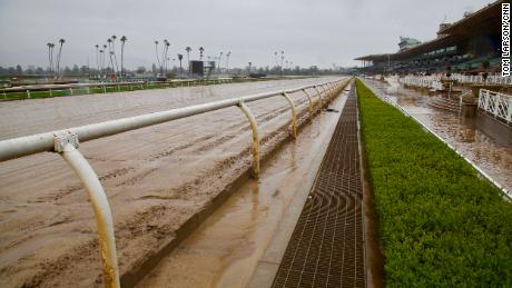 Santa Anita Park has closed at least through the weekend because of a high number of horse deaths.