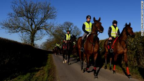 Horses go out in three lots every morning for exercise. 