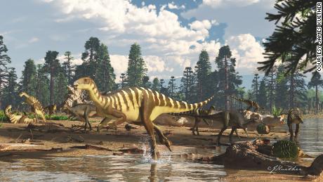 Dinosaur fossil found in Australia was about the size of a wallaby