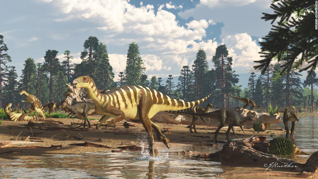 An artist&#39;s impression of a Galleonosaurus dorisae herd on a riverbank in the Australian-Antarctic rift valley during the Early Cretaceous, 125 million years ago. 
