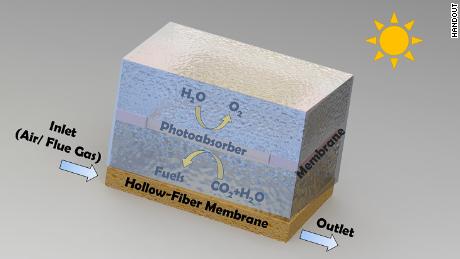 This model shows a prototype of Singh's artificial leaf.