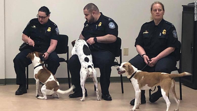 Cardie (middle) hugs her handler&#39;s leg just before graduation.