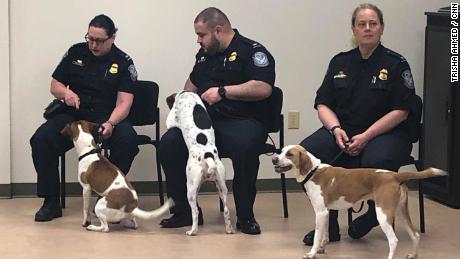 Cardie (middle) hugs her handler's leg just before graduation.