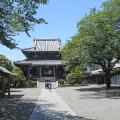 Rugby World Cup Travel Guide Aoyama Zenkoji Temple approach