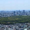 Rugby World Cup Travel Guide Gyoen Garden from above