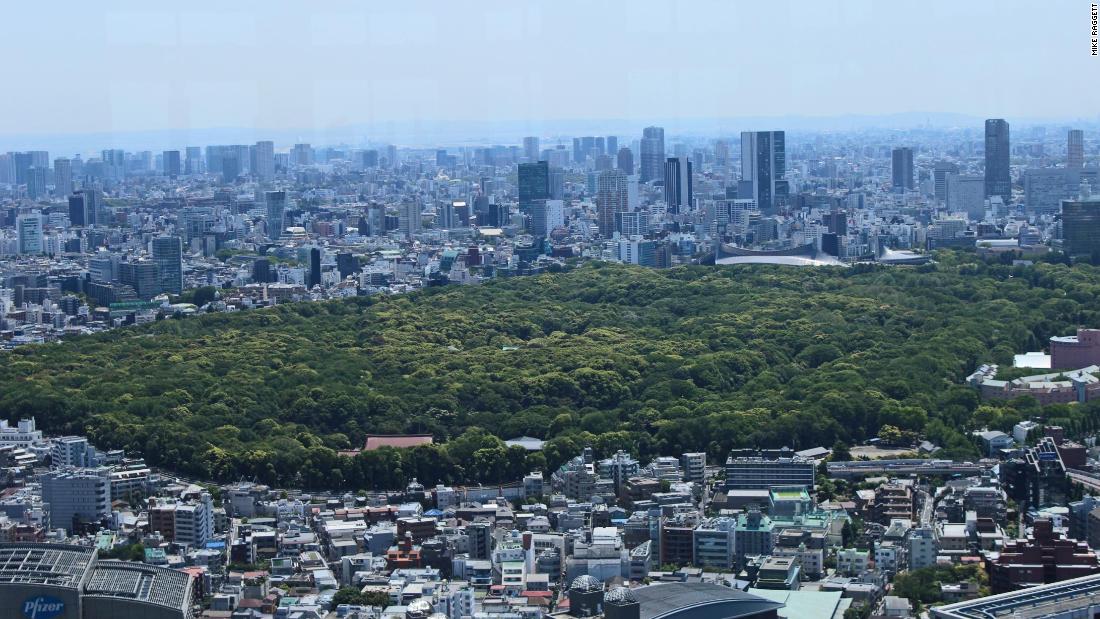 The gardens in Shinjuku -- seen from above -- also offer an oasis of green in the center of Tokyo. 