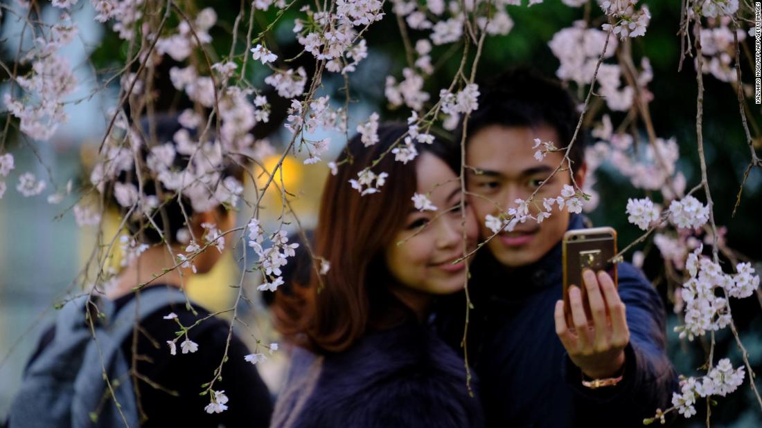 Finding an escape amid the country&#39;s bustling cities can be a welcome relief. Cherry blossoms -- which lend their name to Japan&#39;s rugby team -- are in full bloom during spring in Tokyo&#39;s Ueno Park.