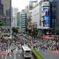 Rugby World Cup Travel Guide Tokyo crossing