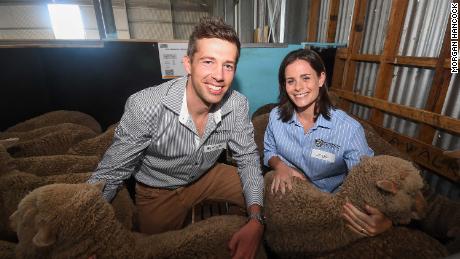 Scientists Simon de Graaf and Jessica Rickard, pictured with some of the lambs produced as part of their research.