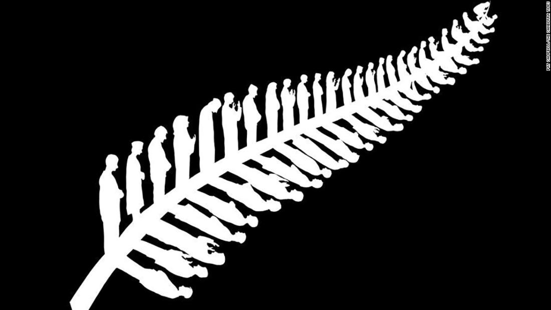 Image result for silver fern