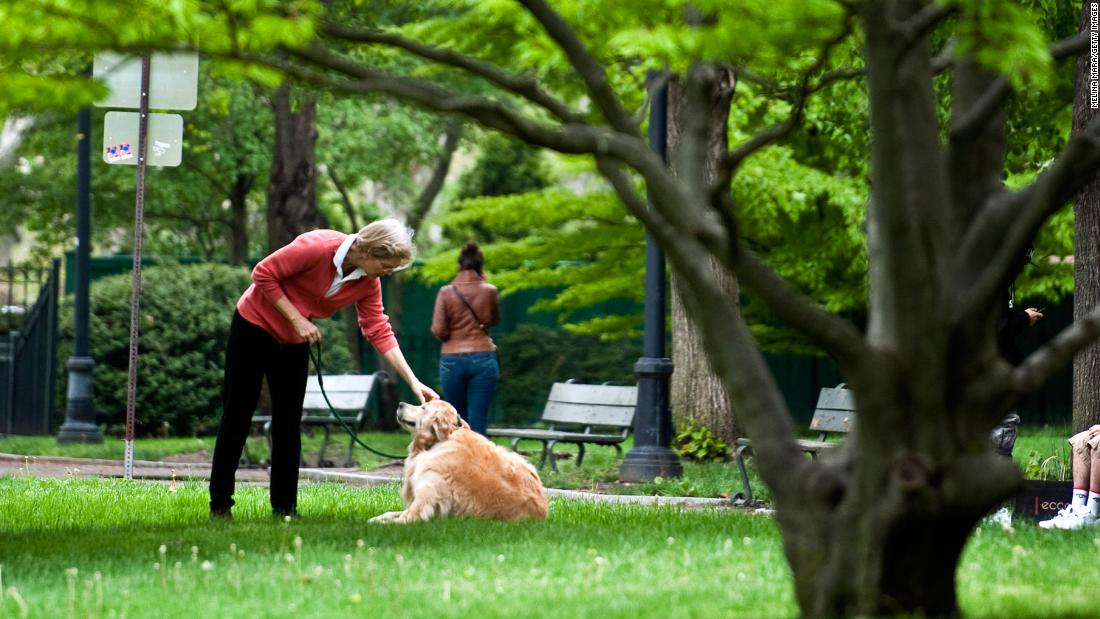 Warren takes a morning walk with her dog Otis on the Harvard University Business School campus in May 2012.