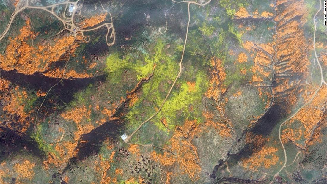 This is how California's wildflower super bloom looks from space CNN