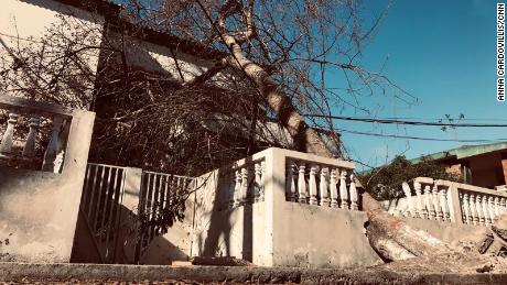 A fallen tree in Avenue Eduardo Mondhlane in Beira, Mozambique.