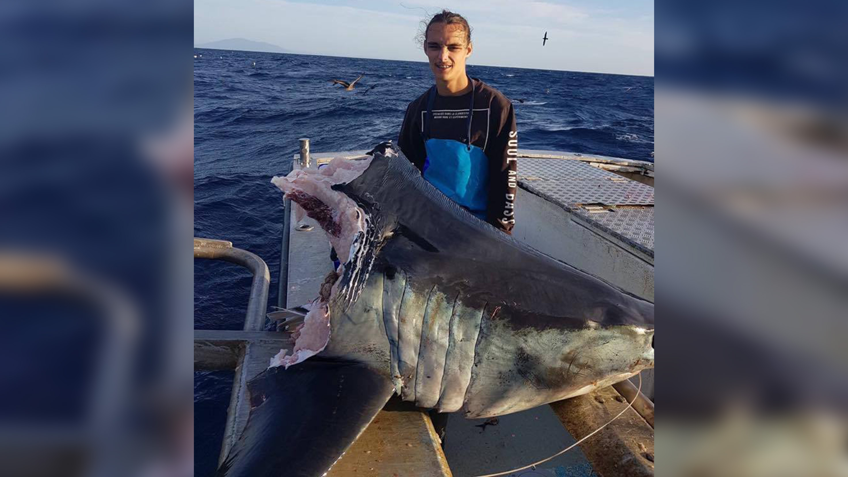 Udlænding Perennial træk vejret Fisherman catches giant shark -- just as something even bigger takes a bite  | CNN