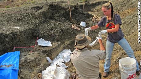 Robert DePalma (L) and field assistant Kylie Ruble (R) excavate fossil carcasses from the Tanis deposit in North Dakota.