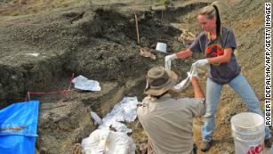 Scientists have found a &#39;fossil graveyard&#39; linked to the asteroid that killed off the dinosaurs