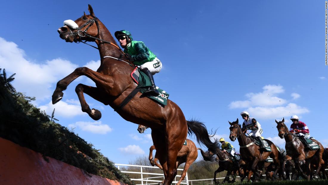 Horses running in virtual grand national today