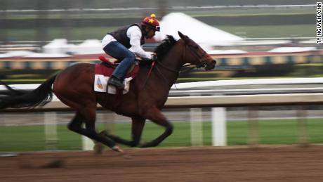 Horses exercising in a morning training session at Santa Anita Park, on Thursday, April 4. 