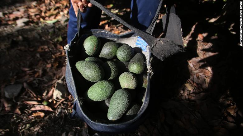 In Chile's arid Petorca, every cultivated hectare of avocados requires 100,000 liters of irrigated water a day. 