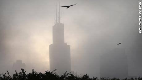 US skyscrapers kill 600 million -- yes, million -- birds every year