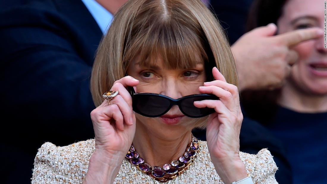 Anna wintour birkin