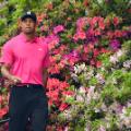 Masters photos A-Z Tiger Woods Azaleas 