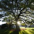 Masters photos A-Z oak tree clubhouse