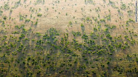 Africa&#39;s Great Green Wall aims to slow down desertification. 