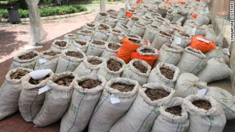 Pangolin scales seized by customs officials in Singapore this month.