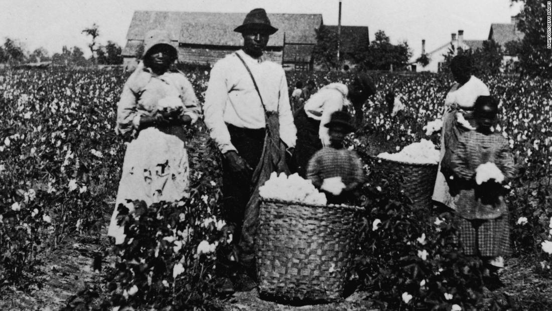 African American men, women and children pick cotton in a cotton field and ...