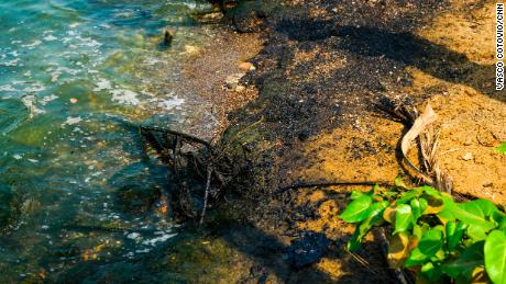 Oil sludge stains the entire coastline of the Maracaibo lake.