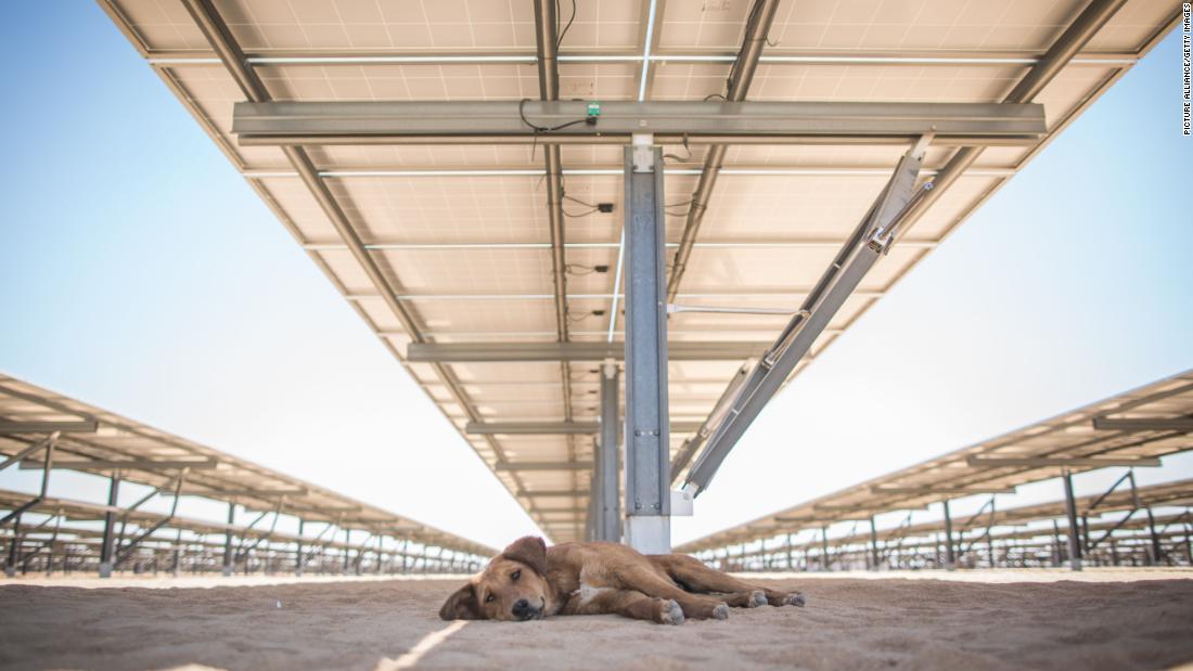 Inaugurated in March 2018, the Infinity 50 Solar Park in southern Egypt is the first of a reported 32 stations that will comprise the Benban Solar Park. Benban&#39;s total capacity once completed has multiple projections, from &lt;a href=&quot;https://www.ebrd.com/news/2019/first-ebrd-funded-egyptian-solar-plant-begins-generation-.html&quot; target=&quot;_blank&quot;&gt;1,465 &lt;/a&gt;to &lt;a href=&quot;https://www.weforum.org/agenda/2019/01/egypt-is-building-one-of-the-worlds-largest-solar-parks/&quot; target=&quot;_blank&quot;&gt;1,650 &lt;/a&gt;to &lt;a href=&quot;https://www.acciona-energia.com/pressroom/news/2019/february/acciona-swicorp-complete-assembly-three-photovoltaic-plants-ownership-egypt/&quot; target=&quot;_blank&quot;&gt;1,800 megawatts&lt;/a&gt;.&lt;br /&gt;